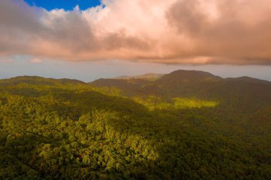 Tropikal ada ormanının güzel manzarası. Kocaman tepeler.