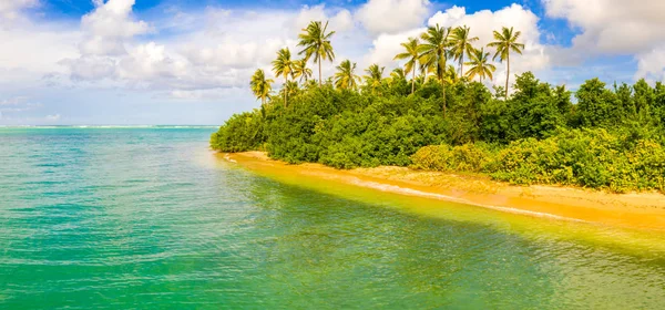 Tropisk strand med hav och handflata tagen från drönare. Seychellerna fa — Stockfoto