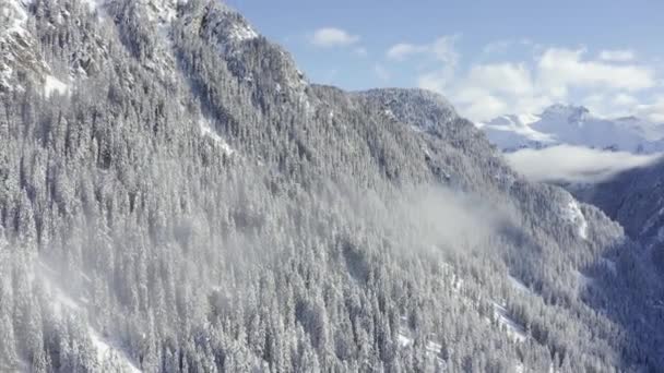 Vista Aérea Desde Cima Los Pinos Nevados Montaña Medio Del — Vídeos de Stock