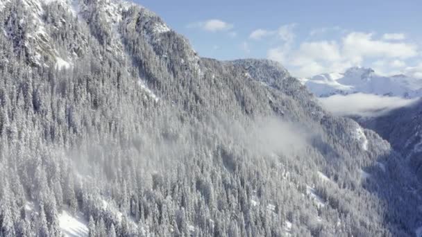 Vista Aérea Desde Cima Los Pinos Nevados Montaña Medio Del — Vídeos de Stock