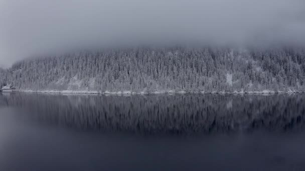 Panoramatický Pohled Krásné Bílé Zimní Scenérie Divů Švýcarských Alpách Zasněženými — Stock video