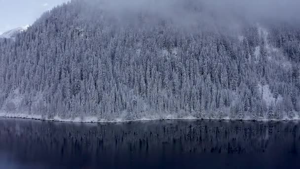 Letecký Pohled Vrcholu Zasněžených Horských Borovic Uprostřed Zimního Lesa Švýcarsku — Stock video