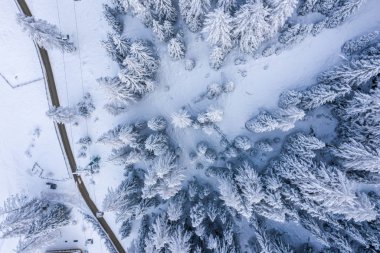 Slope on the Alpine skiing resort Val Gardena in Italy. Mighty mountains and forest covered in snow.