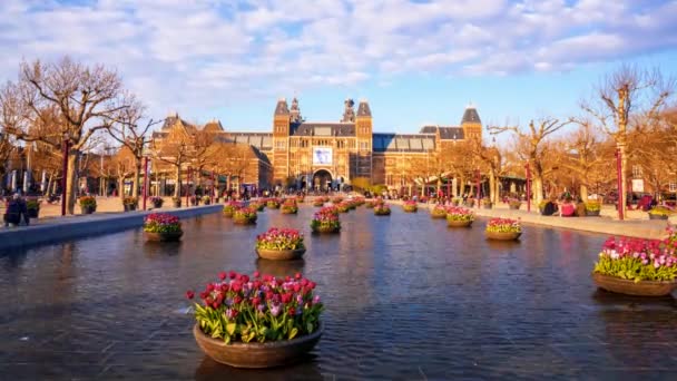 Amsterdam Rijksmuseum Tarihi Geçmiş Güzel Manzarası Güneşli Yaz Gününde Binanın — Stok video