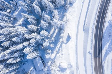 Aerial view from the top of snowy mountain pines in the middle of the winter forest in Switzerland. Magical snowy winter nature. 