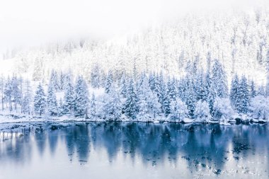 Magical Switzerland winter lake in the middle of the Alps surrounded by the magical forest covered in snow. 