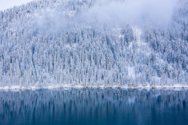 Magical Switzerland winter lake in the middle of the Alps surrounded by the magical forest covered in snow. 