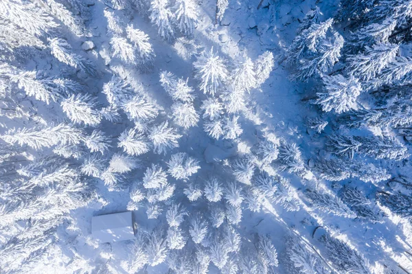 Légi Kilátás Tetején Havas Hegyi Fenyők Közepén Téli Erdő Svájcban — Stock Fotó