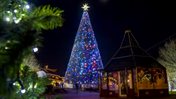 Legnagyobb Legszebb Karácsonyfa Európában Rigában Lettországban Gyönyörű Éjszakai Kilátás Karácsonyfa — Stock videók