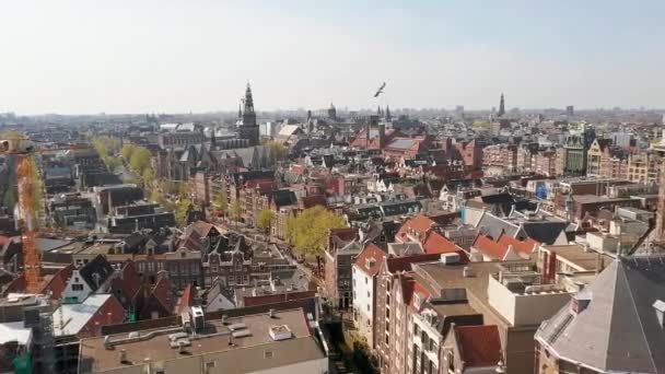 Aerial View Amsterdam City City Center Main Square Train Station — 비디오