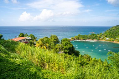 Tobago 'nun güzel uzak adası. Boş kumsallar, palmiye ağaçları, güneşli hava. Gerçek cennet adası. Yaz titreşimleri.