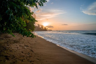 Tobago 'nun güzel uzak adası. Boş kumsallar, palmiye ağaçları, güneşli hava. Gerçek cennet adası. Yaz titreşimleri. 