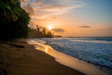 Tobago 'nun güzel uzak adası. Boş kumsallar, palmiye ağaçları, güneşli hava. Gerçek cennet adası. Yaz titreşimleri.  