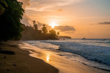 Tobago 'nun güzel uzak adası. Boş kumsallar, palmiye ağaçları, güneşli hava. Gerçek cennet adası. Yaz titreşimleri.  