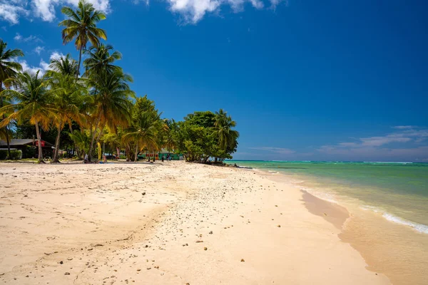 Coconut Trees Sandy Beach Beautiful Paradise Island Summer Spirit — Stock Photo, Image
