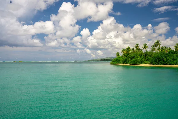 Krásný Odlehlý Ostrov Tobago Prázdné Divoké Pláže Palmy Slunečné Počasí — Stock fotografie