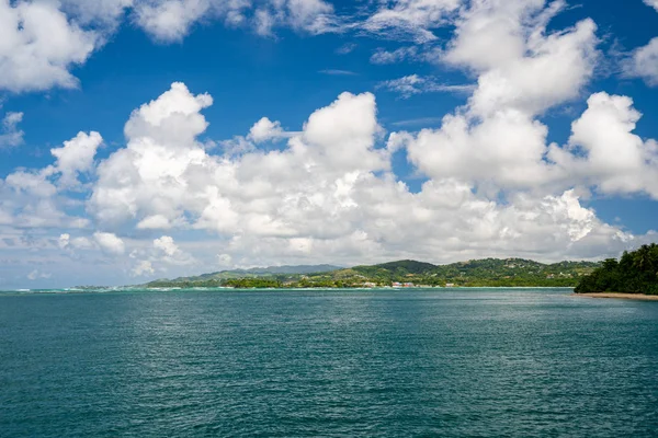 Beautiful remote island of Tobago. Empty wild beaches, palm trees, sunny weather. Real paradise island. Summer vibes.