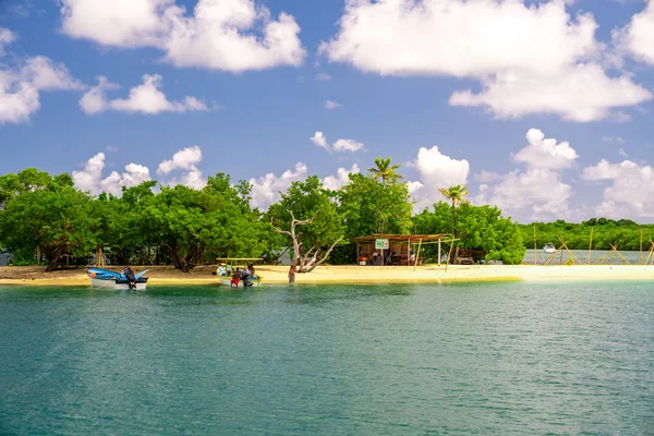 Beautiful Remote Island Tobago Empty Wild Beaches Palm Trees Sunny — Stock Photo, Image