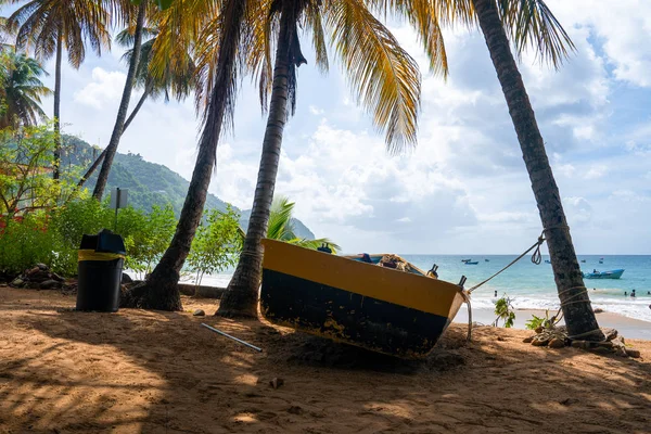 Beautiful Remote Island Tobago Empty Wild Beaches Palm Trees Sunny — Stock Photo, Image