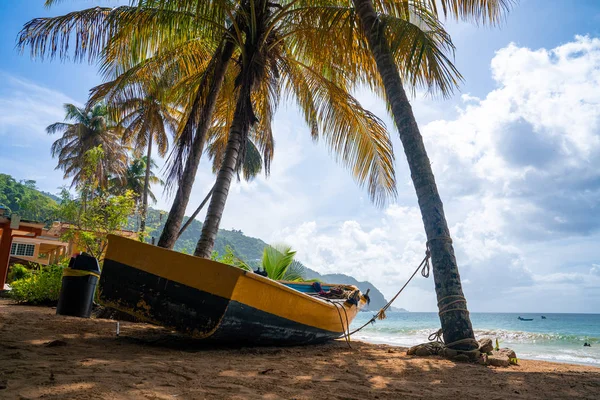 Beautiful Remote Island Tobago Empty Wild Beaches Palm Trees Sunny — Stock Photo, Image