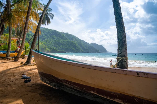 Beautiful remote island of Tobago. Empty wild beaches, palm trees, sunny weather. Real paradise island. Summer vibes.