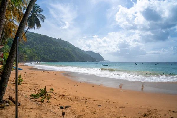 Όμορφο Απομακρυσμένο Νησί Του Τομπάγκο Άδειες Παραλίες Φοίνικες Ηλιόλουστος Καιρός — Φωτογραφία Αρχείου