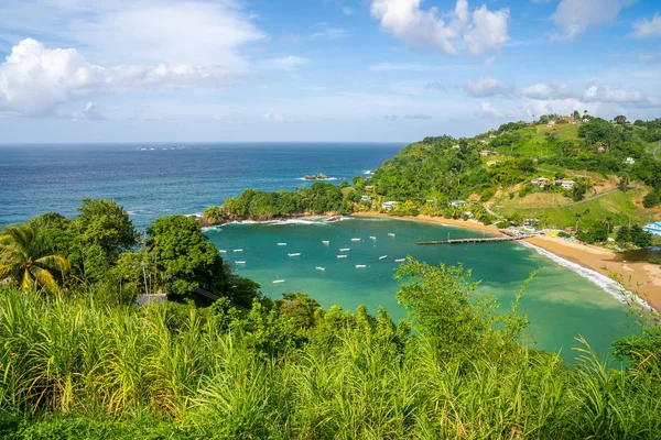 Gyönyörű Távoli Sziget Tobago Üres Vad Strandok Pálmafák Napos Idő — Stock Fotó