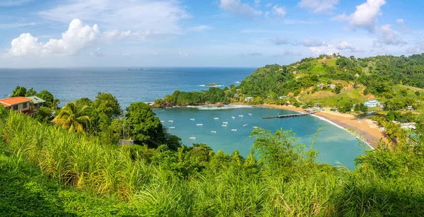Gyönyörű Távoli Sziget Tobago Üres Vad Strandok Pálmafák Napos Idő — Stock Fotó