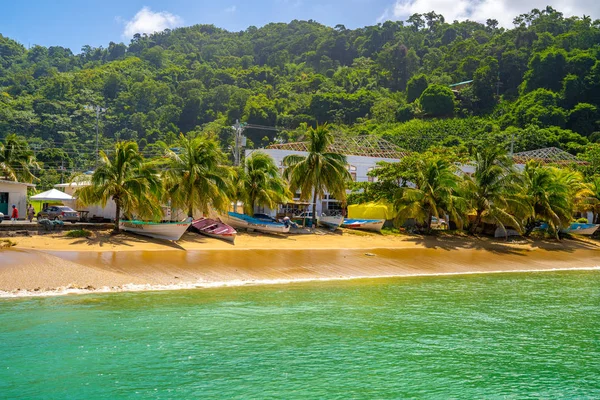 Beautiful remote island of Tobago. Empty wild beaches, palm trees, sunny weather. Real paradise island. Summer vibes.