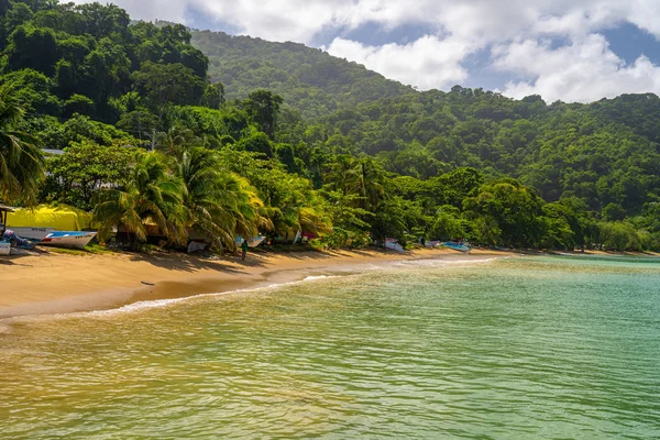 Beautiful Remote Island Tobago Empty Wild Beaches Palm Trees Sunny — Stock Photo, Image