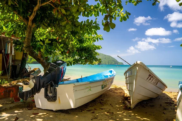 Чудовий Віддалений Острів Тобаго Порожні Дикі Пляжі Пальми Сонячна Погода — стокове фото