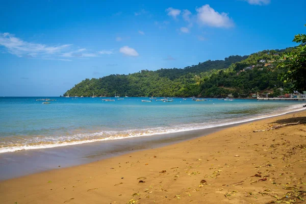 Beautiful remote island of Tobago. Empty wild beaches, palm trees, sunny weather. Real paradise island. Summer vibes.