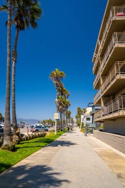 10 Haziran 2019. Los Angeles, ABD. Kaliforniya 'da Venedik plaj bölgesinde güneşli bir ruh. İnsanlar sahilde yürüyor ya da bisiklete biniyor, yaz tatilinin tadını çıkarıyor.. 