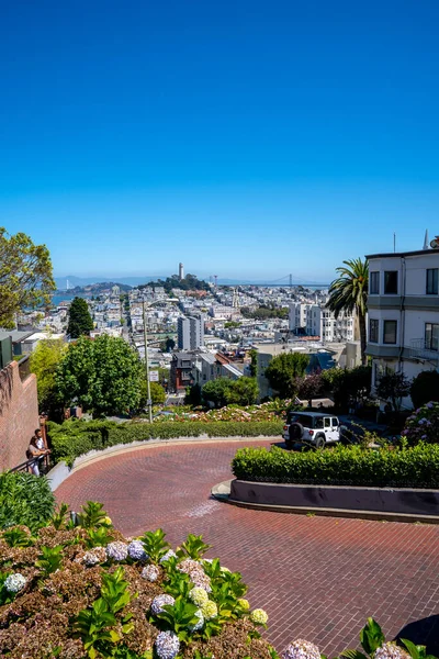 San Francisco Stati Uniti Maggio 2019 Famosa Lombard Street San — Foto Stock