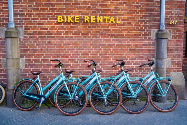 Άμστερνταμ Ολλανδία Μαΐου 2019 Ενοικίαση Ποδηλάτων Στο Άμστερνταμ — Φωτογραφία Αρχείου