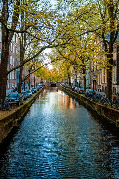 네덜란드 암스테르담 2019 네덜란드 홀란드의 파란색 시간에 전형적 두건으로 가정용 — 스톡 사진