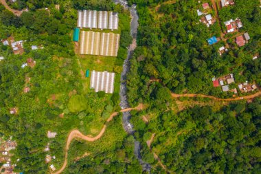 Kilimanjaro Dağı yakınlarındaki Ulusal Park Ormanı, Tanzanya Dağ nehirleri ve tropikal ormanlar.