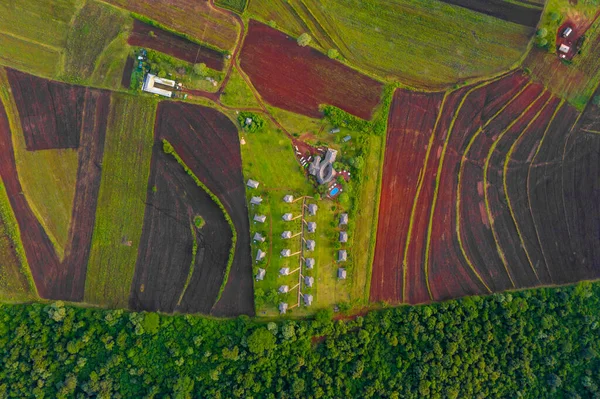 Aerial view of Safari Lodge in Tanzania near Kilimanjaro volcano. Beautiful tropical jungle lodge.