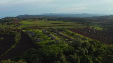 Tanzanya Mangrove ormanları, ağaçlar, nehir ve mangrov ormanlarının havadan görünüşü. Dağ 'ın yakınında. Kilimanjaro.