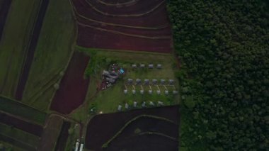Tanzanya Mangrove ormanları, ağaçlar, nehir ve mangrov ormanlarının havadan görünüşü. Dağ 'ın yakınında. Kilimanjaro.