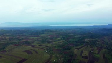 Tanzanya Mangrove ormanları, ağaçlar, nehir ve mangrov ormanlarının havadan görünüşü. Dağ 'ın yakınında. Kilimanjaro.