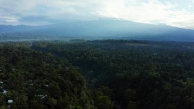 Tanzanya Mangrove ormanları, ağaçlar, nehir ve mangrov ormanlarının havadan görünüşü. Dağ 'ın yakınında. Kilimanjaro.