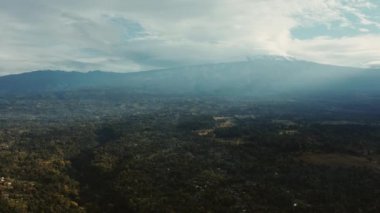 Tanzanya Mangrove ormanları, ağaçlar, nehir ve mangrov ormanlarının havadan görünüşü. Dağ 'ın yakınında. Kilimanjaro.