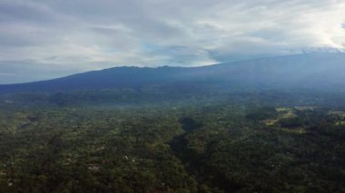 Tanzanya Mangrove ormanları, ağaçlar, nehir ve mangrov ormanlarının havadan görünüşü. Dağ 'ın yakınında. Kilimanjaro.