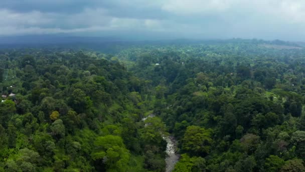 Letecký Pohled Sopku Kilimandžáro Tanzanii Uprostřed Džungle Stála Obrovská Hora — Stock video