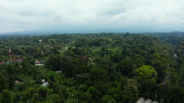 タンザニアのキリマンジャロ火山の空中写真 巨大な山のジャングルの真ん中に立っている 美しい景色 — ストック動画