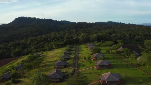 Luchtfoto Van Mangrove Bos Rivier Tanzania Mangrove Jungles Bomen Rivier — Stockvideo