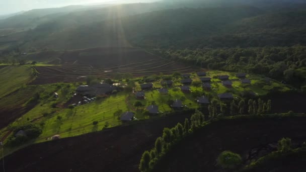 Vista Aérea Floresta Manguezais Rio Tanzânia Selvas Manguezais Árvores Rio — Vídeo de Stock