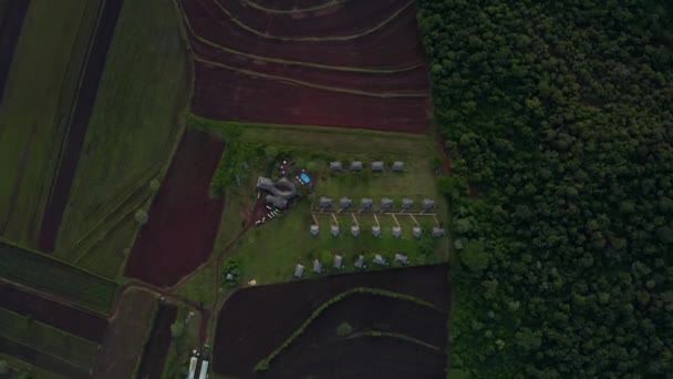 Flygfoto Mangrove Skog Och Flod Tanzania Mangrove Djungler Träd Flod — Stockvideo