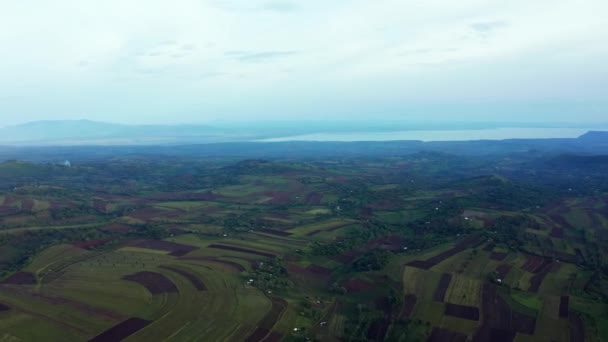 Luchtfoto Van Mangrove Bos Rivier Tanzania Mangrove Jungles Bomen Rivier — Stockvideo